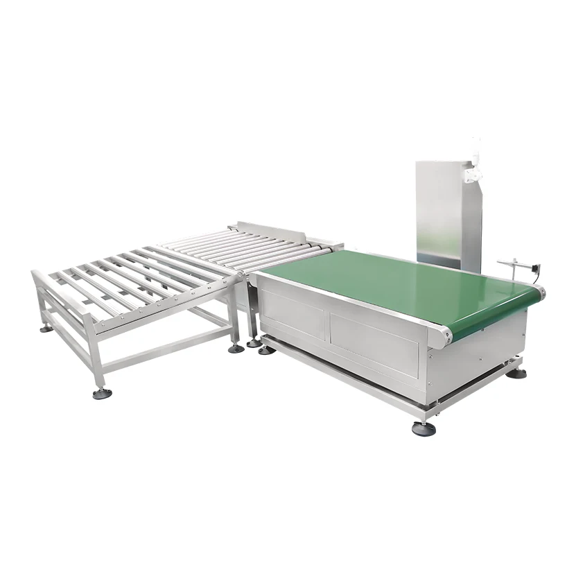 Assembly Checkweigher Scale